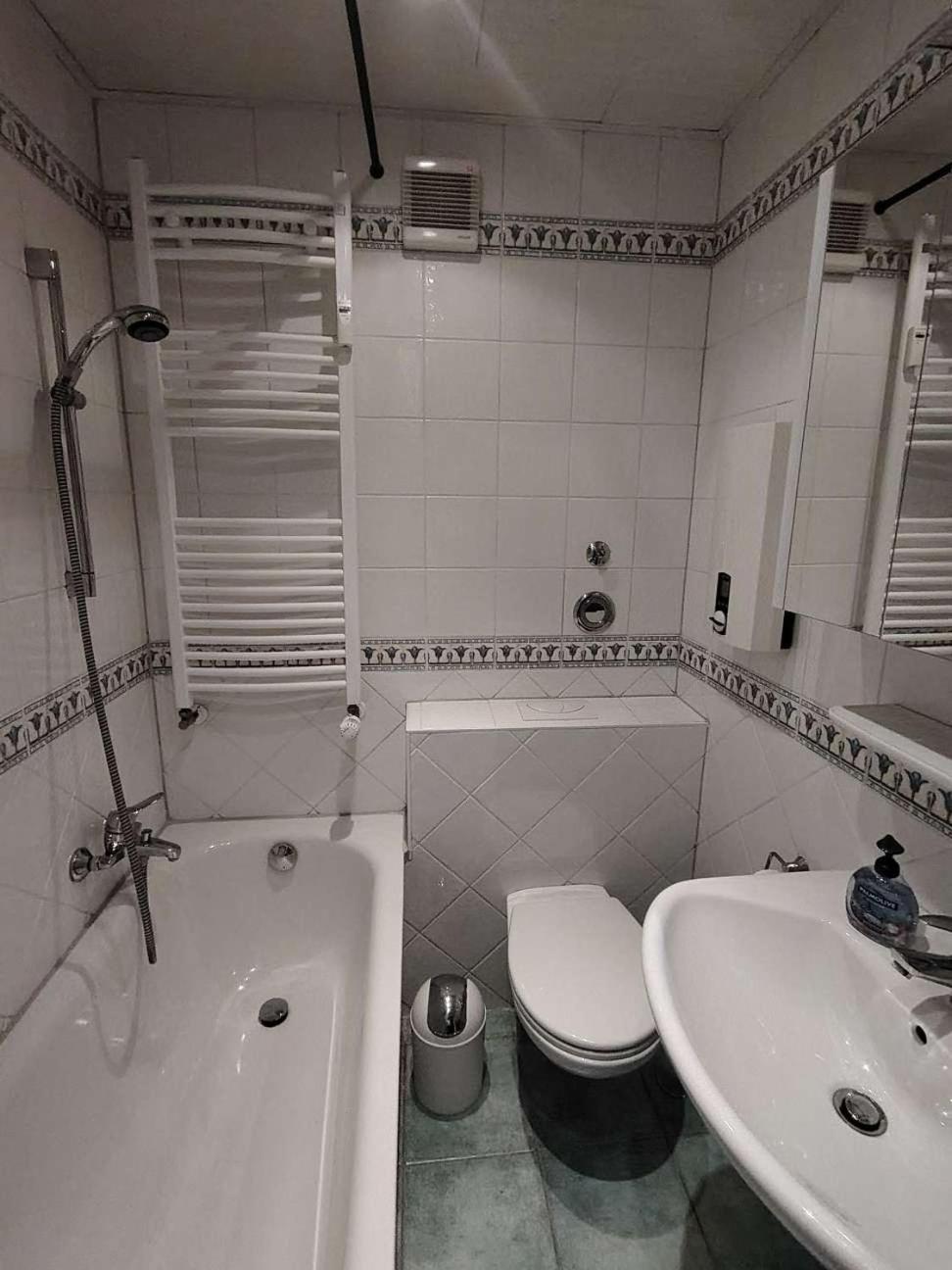 Koblenzliebe Rhein Ferienwohnung 3-Zimmer Garten Parking Koblenz  Ngoại thất bức ảnh