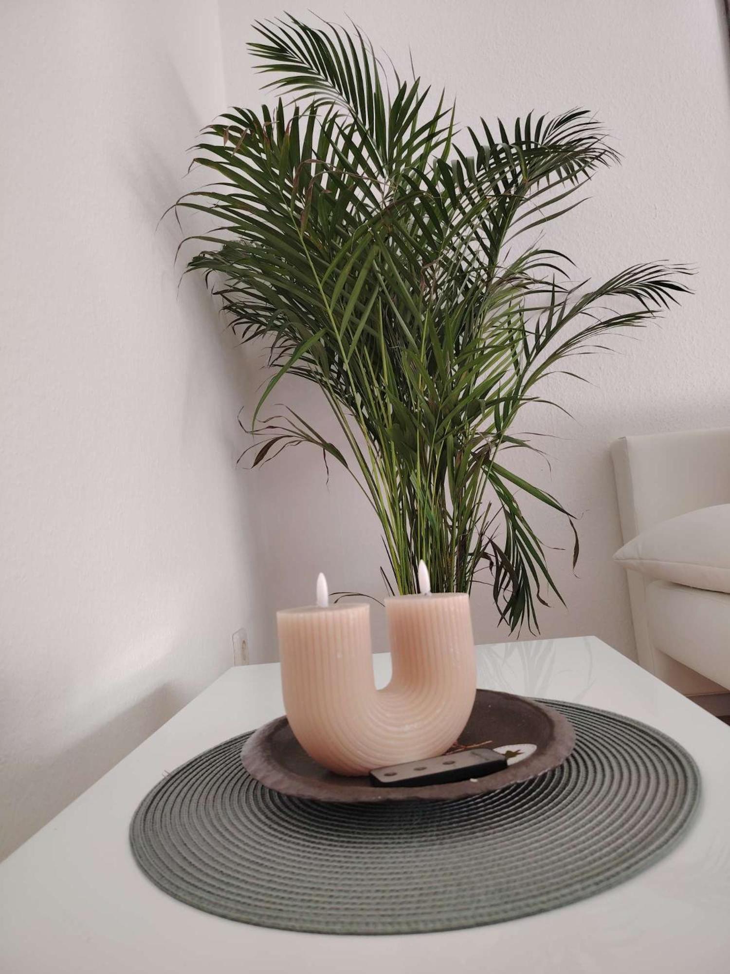 Koblenzliebe Rhein Ferienwohnung 3-Zimmer Garten Parking Koblenz  Ngoại thất bức ảnh